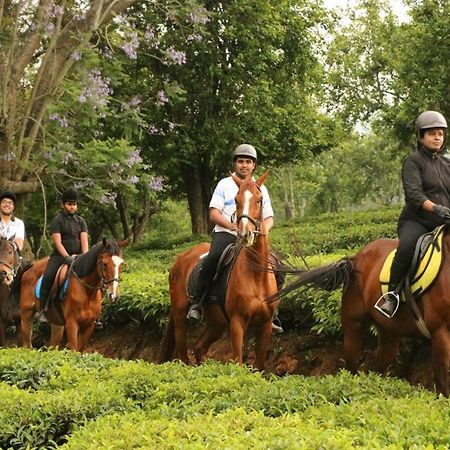 Willow Hill By Nature Resorts And Stays อูตี ภายนอก รูปภาพ